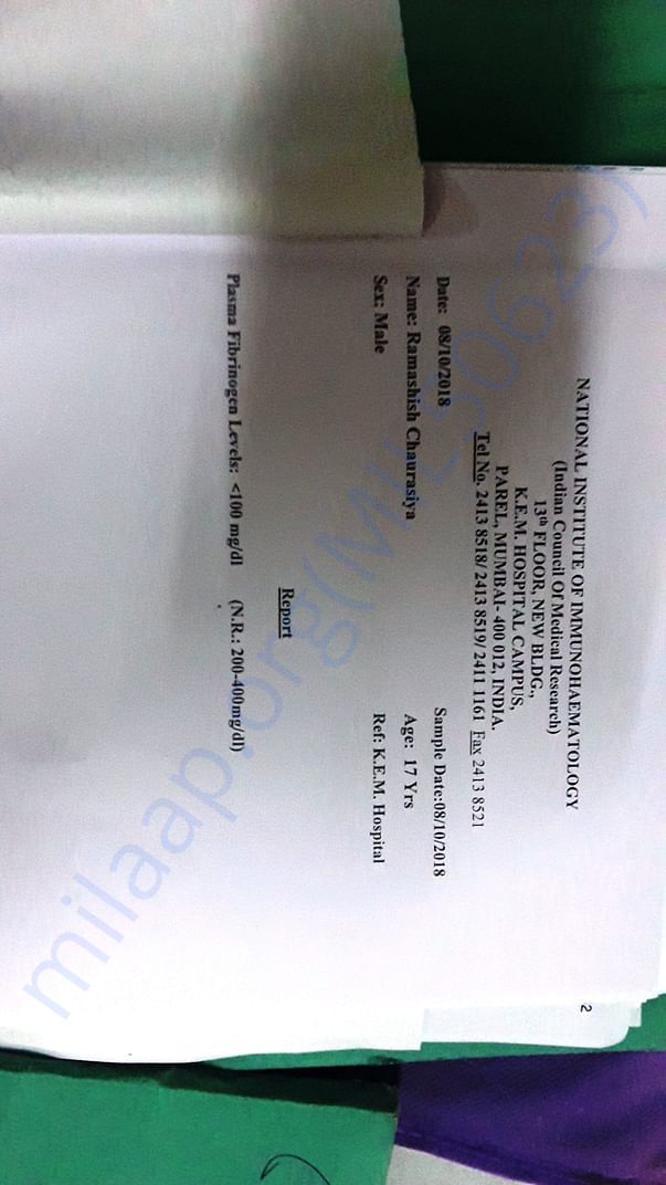 Plasma Report