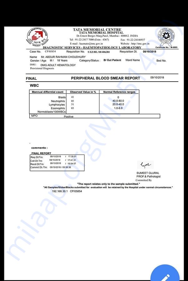 Report