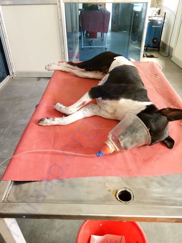 Steriliations
