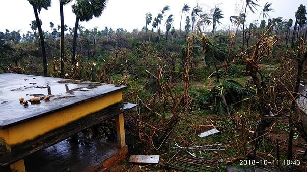 Impact of Titli Cyclone