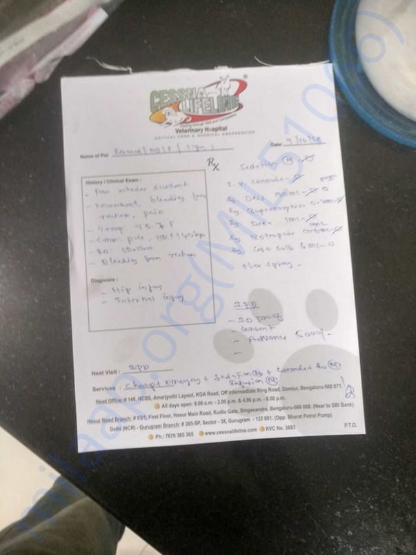 Medical prescription
