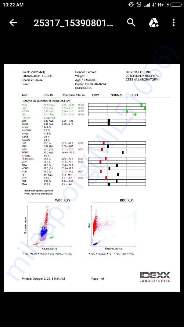 Medical reports of cassie