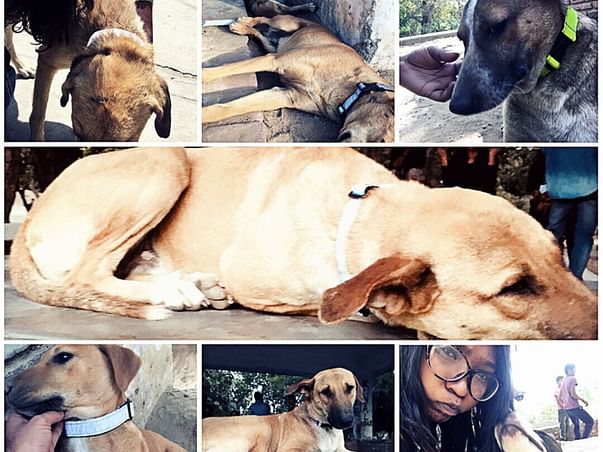 Join Us In Setting Up Foster Home And Adoption Centre