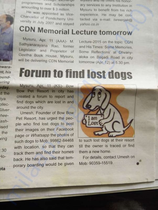 lost and found forum