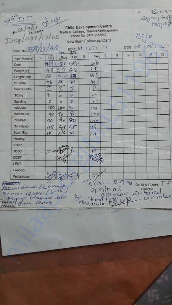 Report