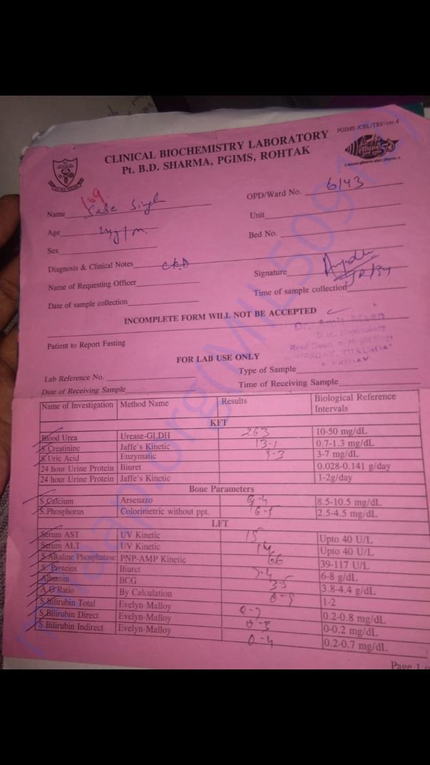 Medical reports