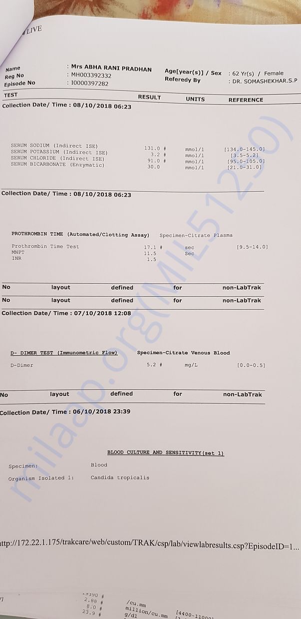 Prothrombin time, d dimer test, blood culture test