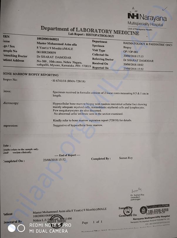 Bone Marrow Biopsy