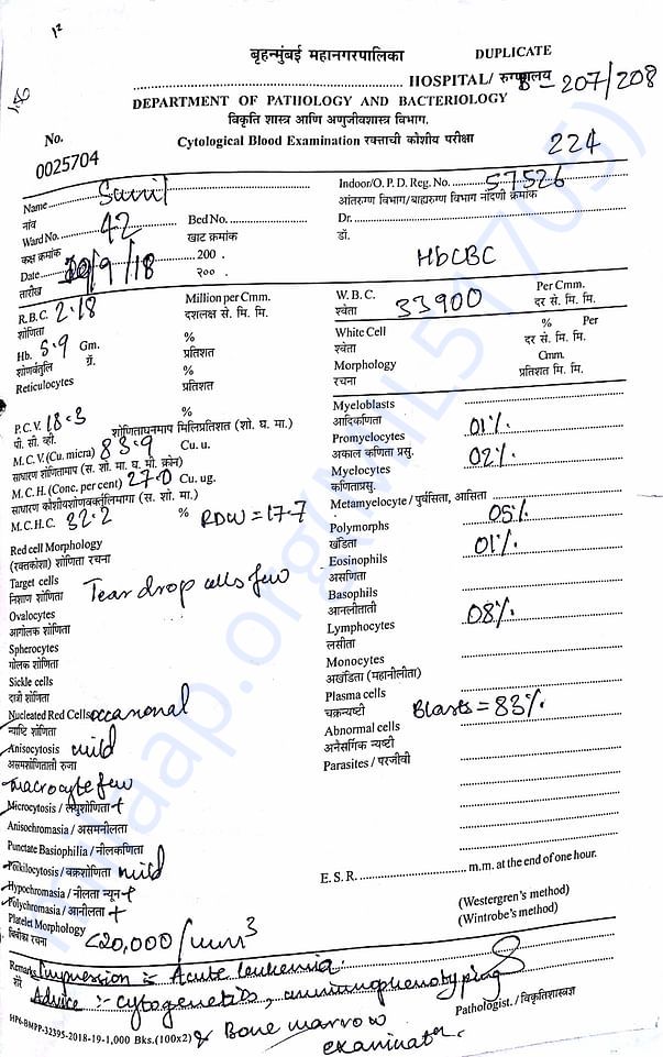 Blast blood cells report