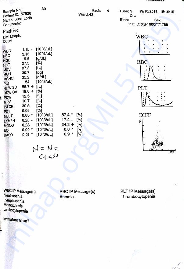 Blood count report 2