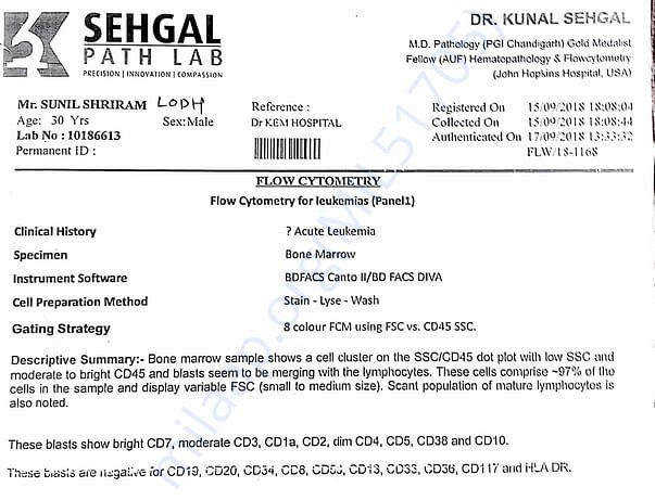 Cytometry report 2