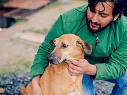Help Earthlings Trust Build Heaven For Strays