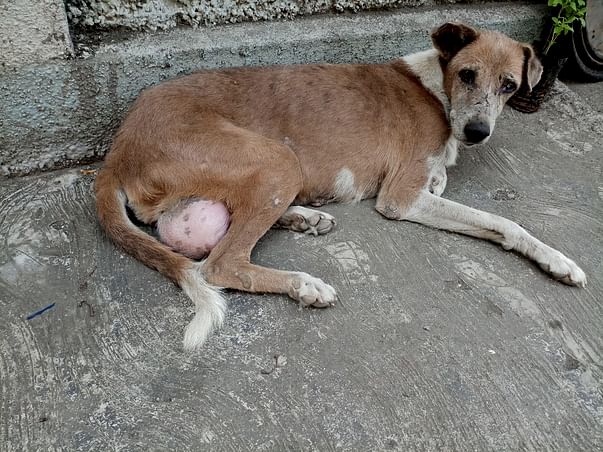 Help Lina For Breast Cancer Surgery