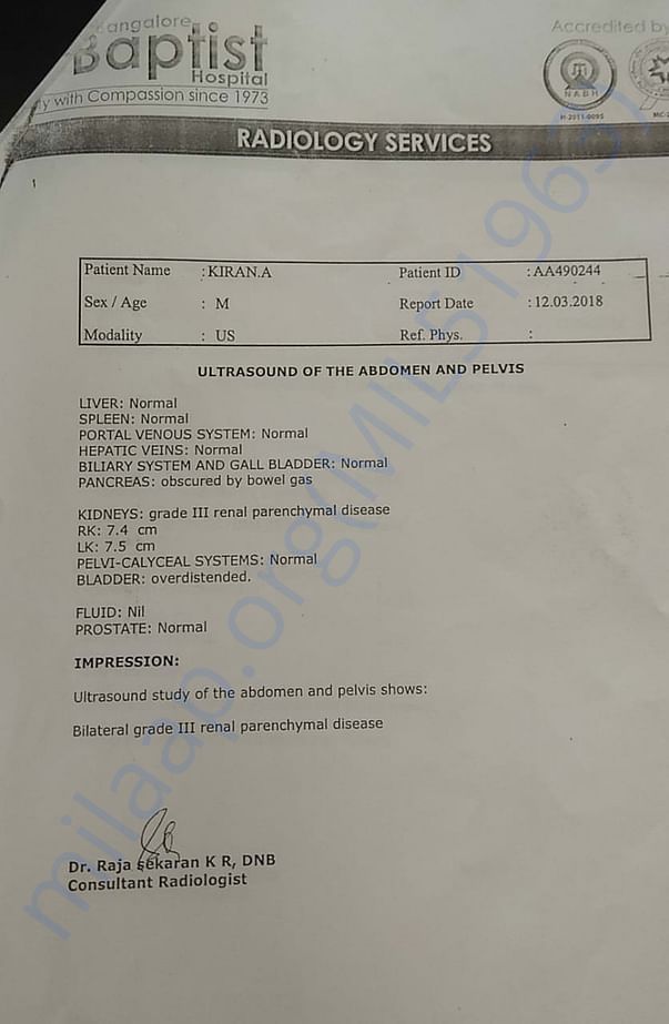 Raidology Report