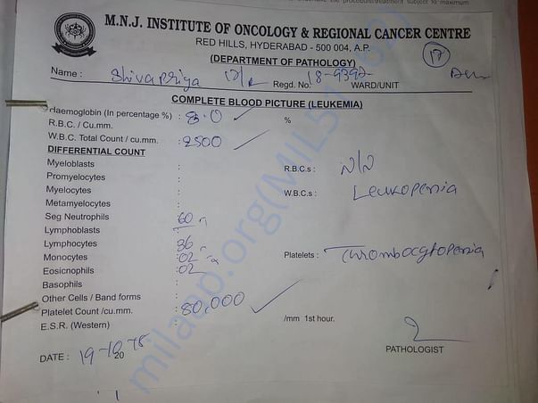 Blood test report 19th Oct