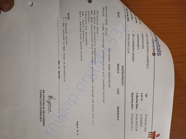 Report with acute leukemia diagnosis confirmation