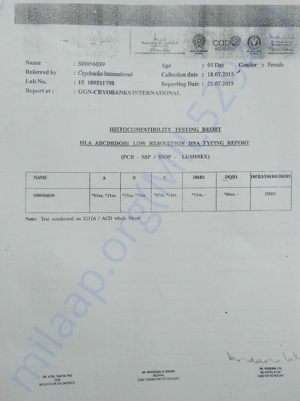 HLA Report