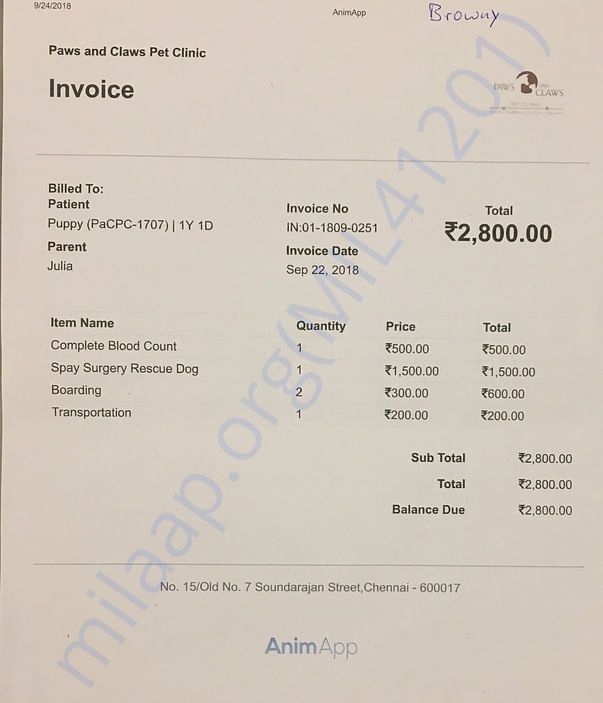 Invoice spaying surgery Browny