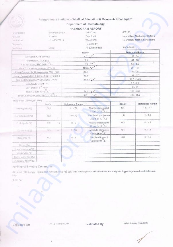 Hemogram Report