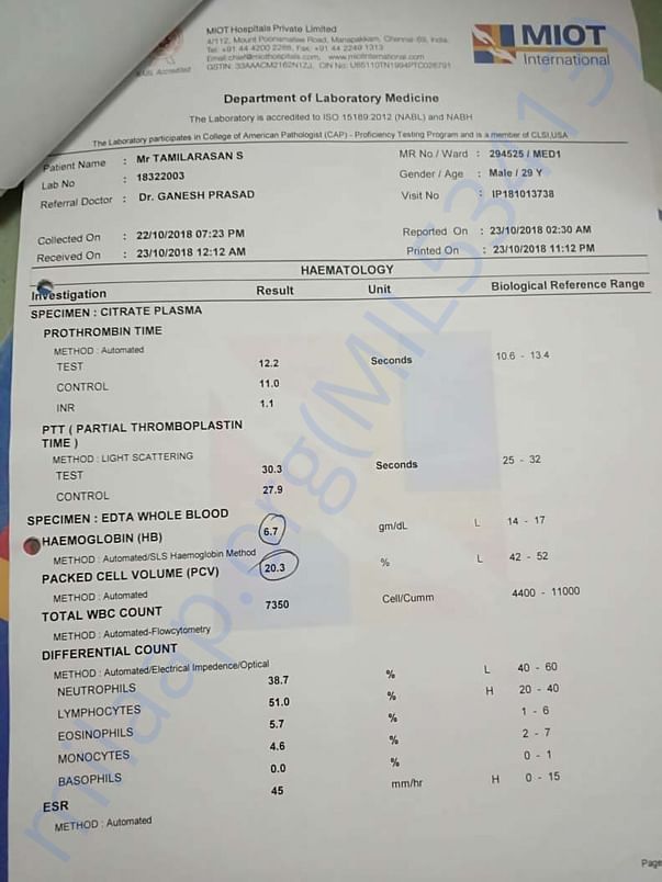 Report-11