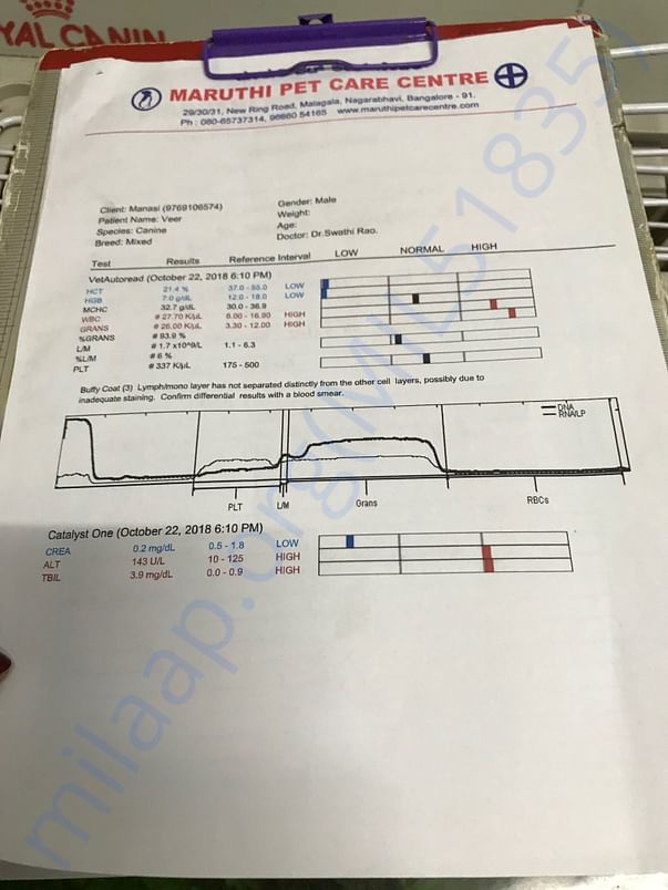 Blood test 1