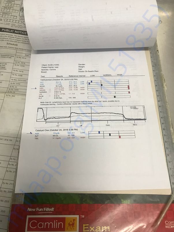 Blood test 2