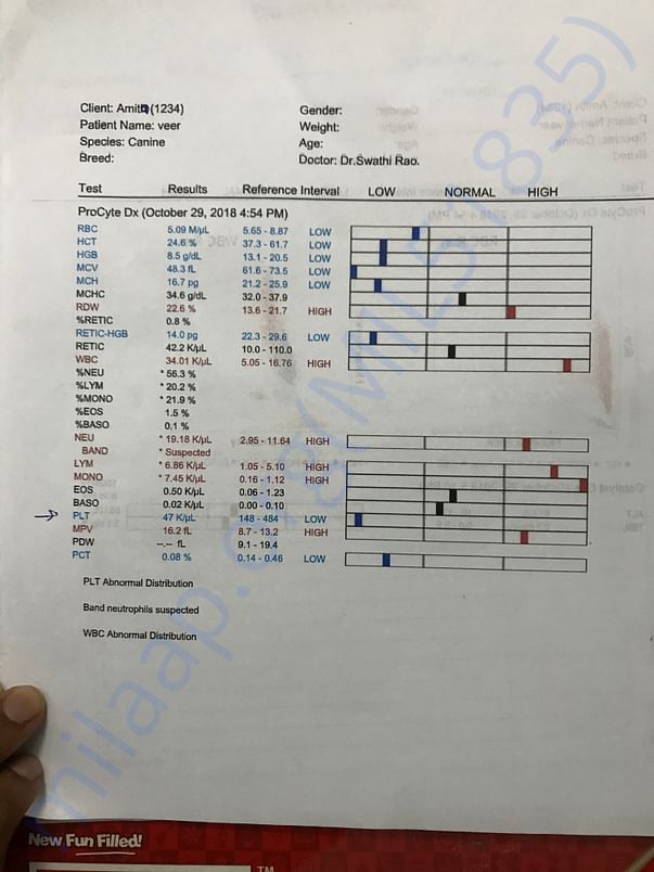 Blood test 3