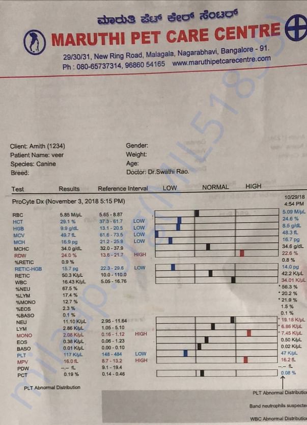 Blood test 4