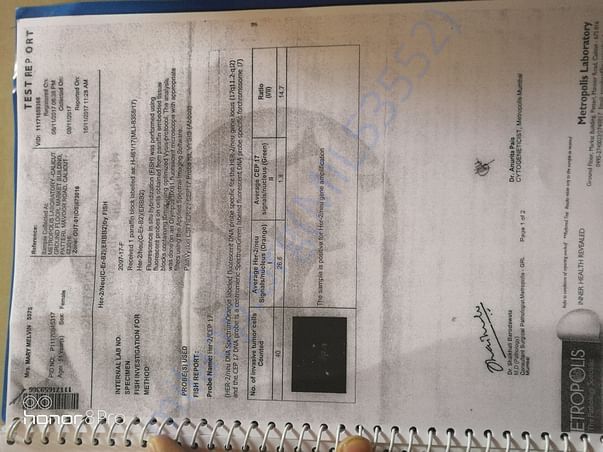 Document 1