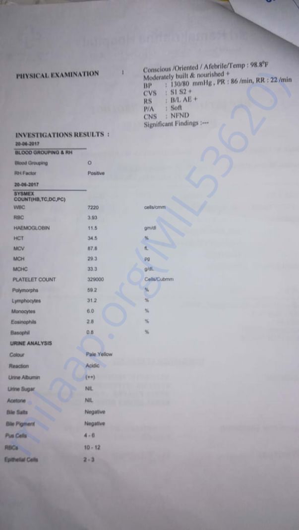 Supporting Documents