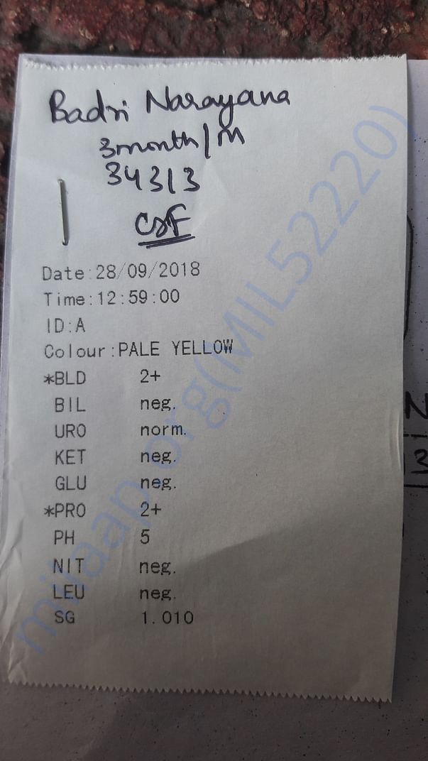 Test report16
