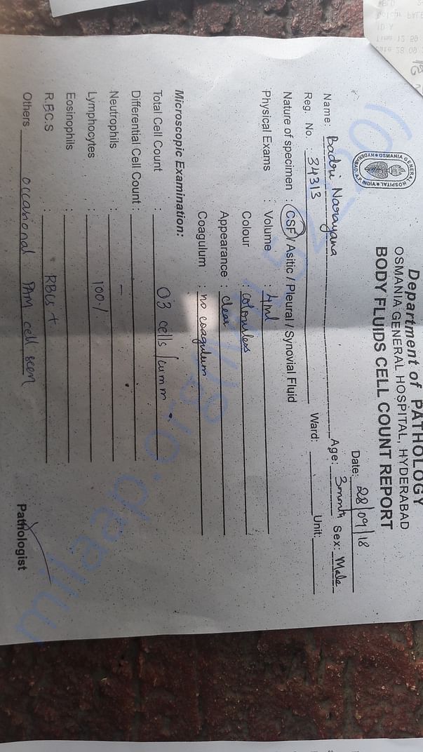 Test report17