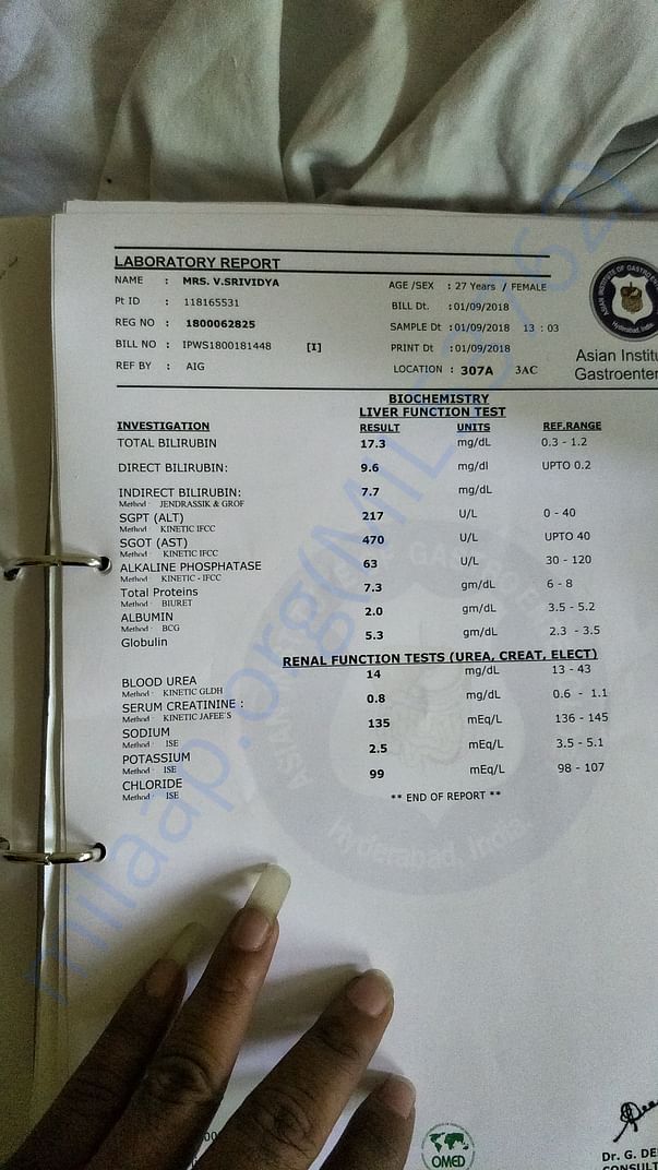 reports, cost estimated,