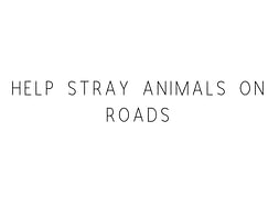 Help Stray Animals On Road