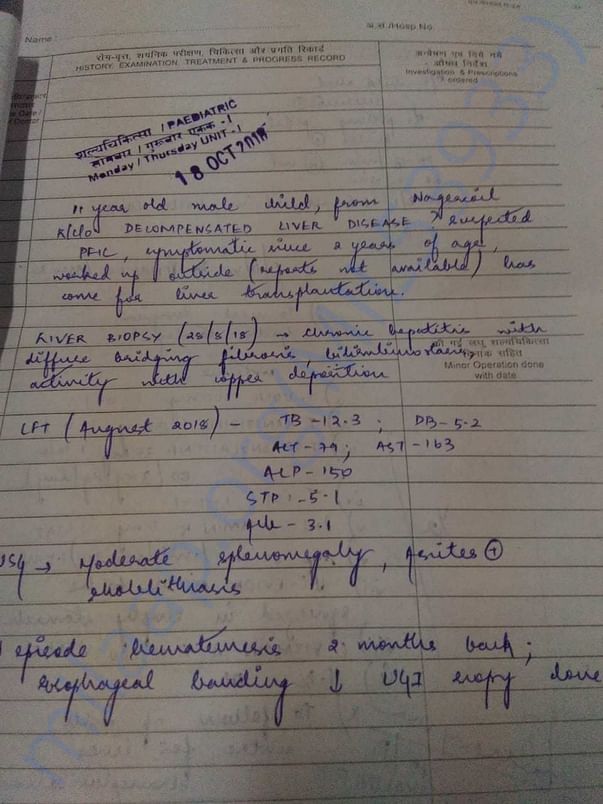 Test Report