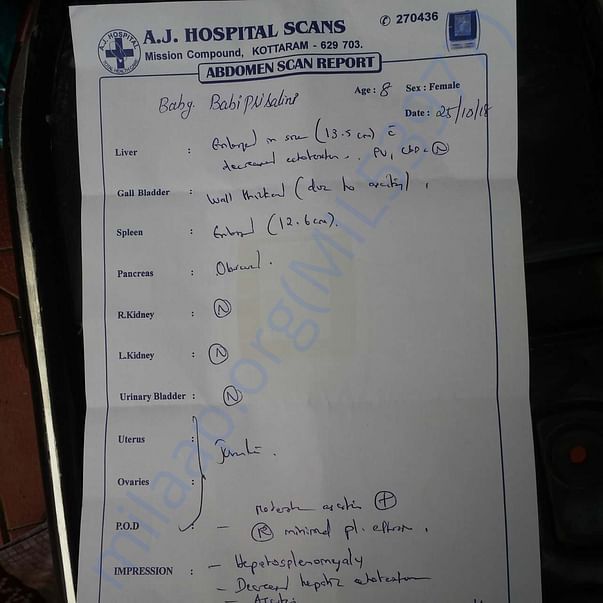 Scan report of the abdomen