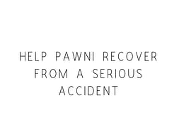 Help Pawni Recover From A Serious Accident