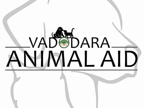 Help Us Buy Ambulance For Stray Animals