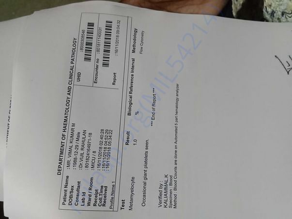 Vimal report1