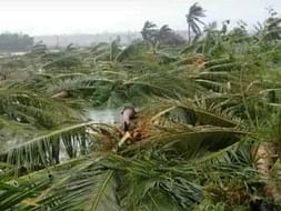 Save My Village From Natural Disaster Gaja Cyclone