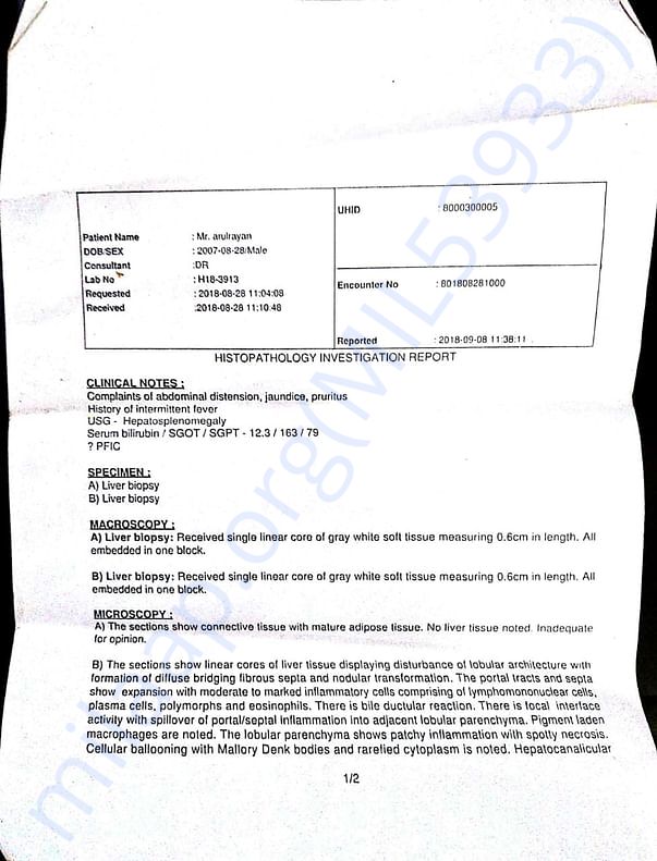 Histopathology Investigaton Report