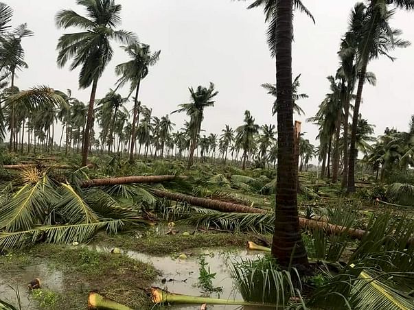 Help My Family Recover from Cyclone 'Gaja'