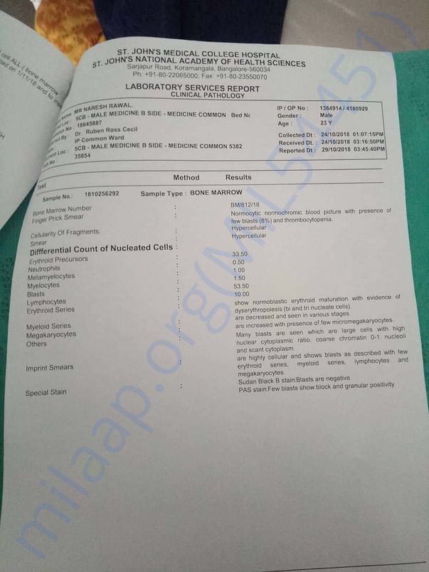 Medical Report2