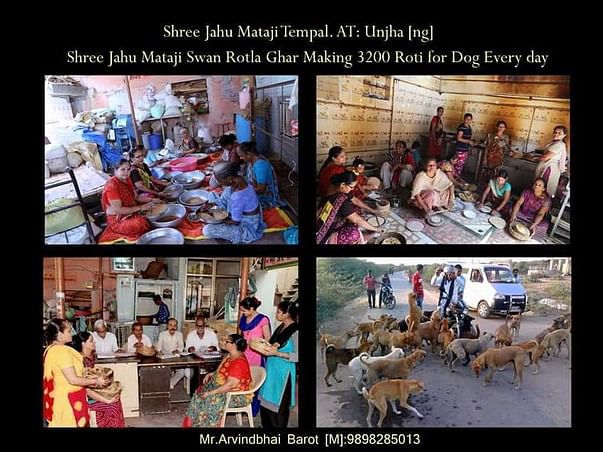 Help Us Provide Help to Street Dogs