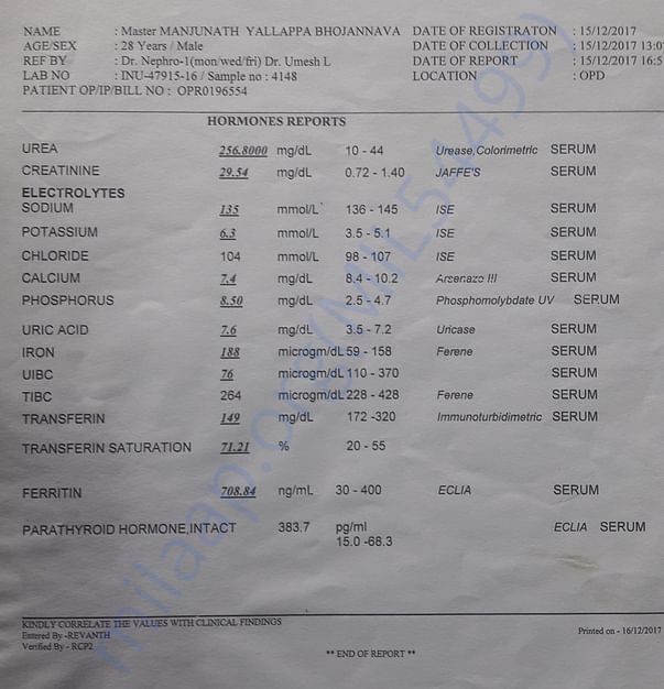 My report
