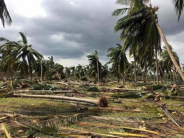 Gaja Cyclone Relief - Farmers Cauvery Delta Region in Tamilnadu