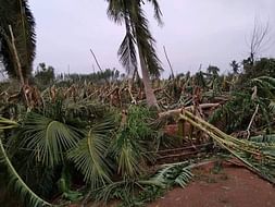 Help us Provide Relief in Peravurani (Delta) Due to Gaja Cyclone