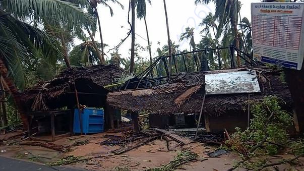 Cyclone Gaja devastation 2