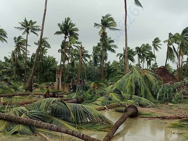 Cyclone Gaja devastation 3