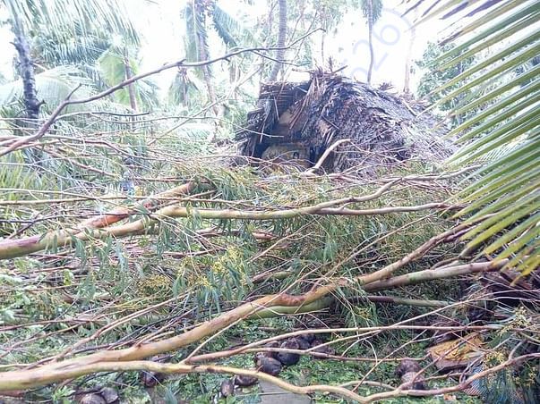 Cyclone Gaja devastation 4
